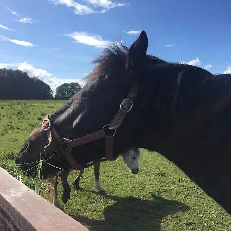 בית נופש 2 Bed By Trident Homes